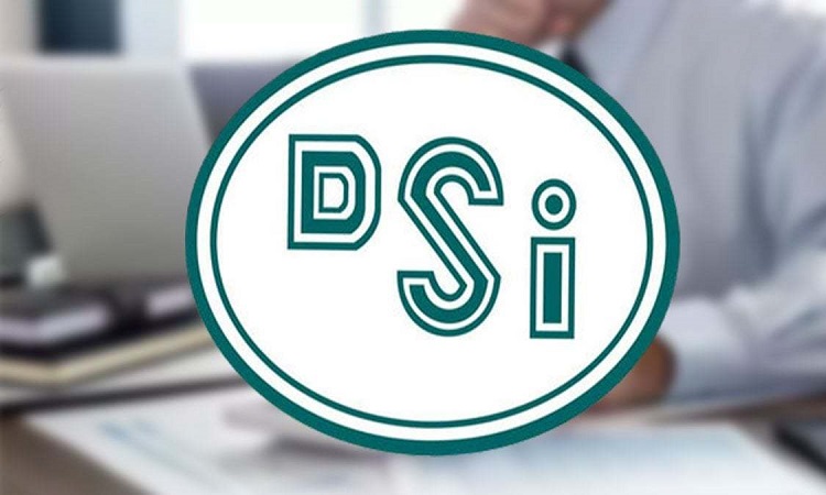 DSİ Ruhsatları